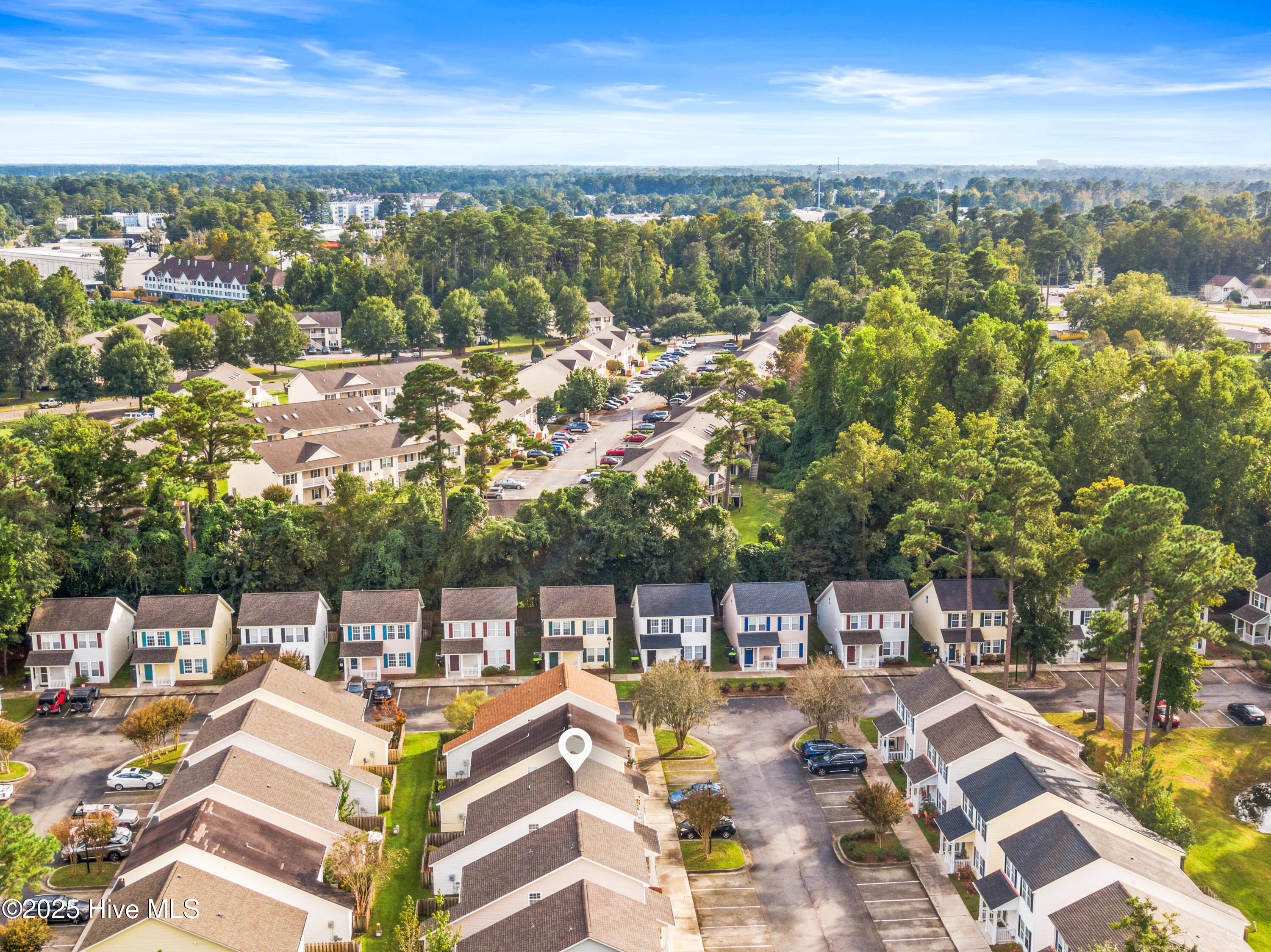 100535328 | Photo 28