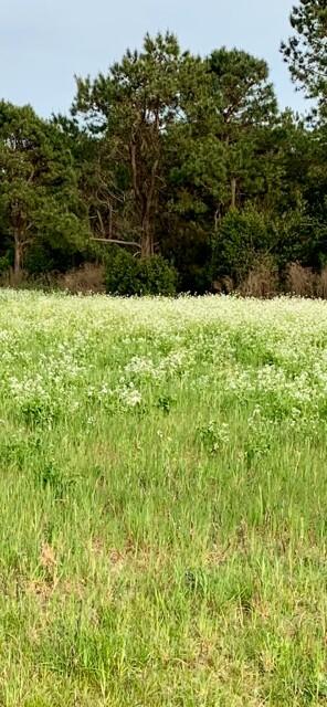 2405 HWY 88, Hephzibah, GA, 30815