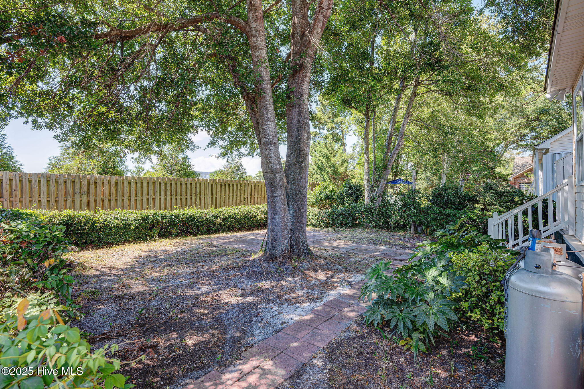 100531584 | Photo 41