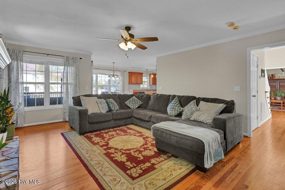 100567145 | Photo 19