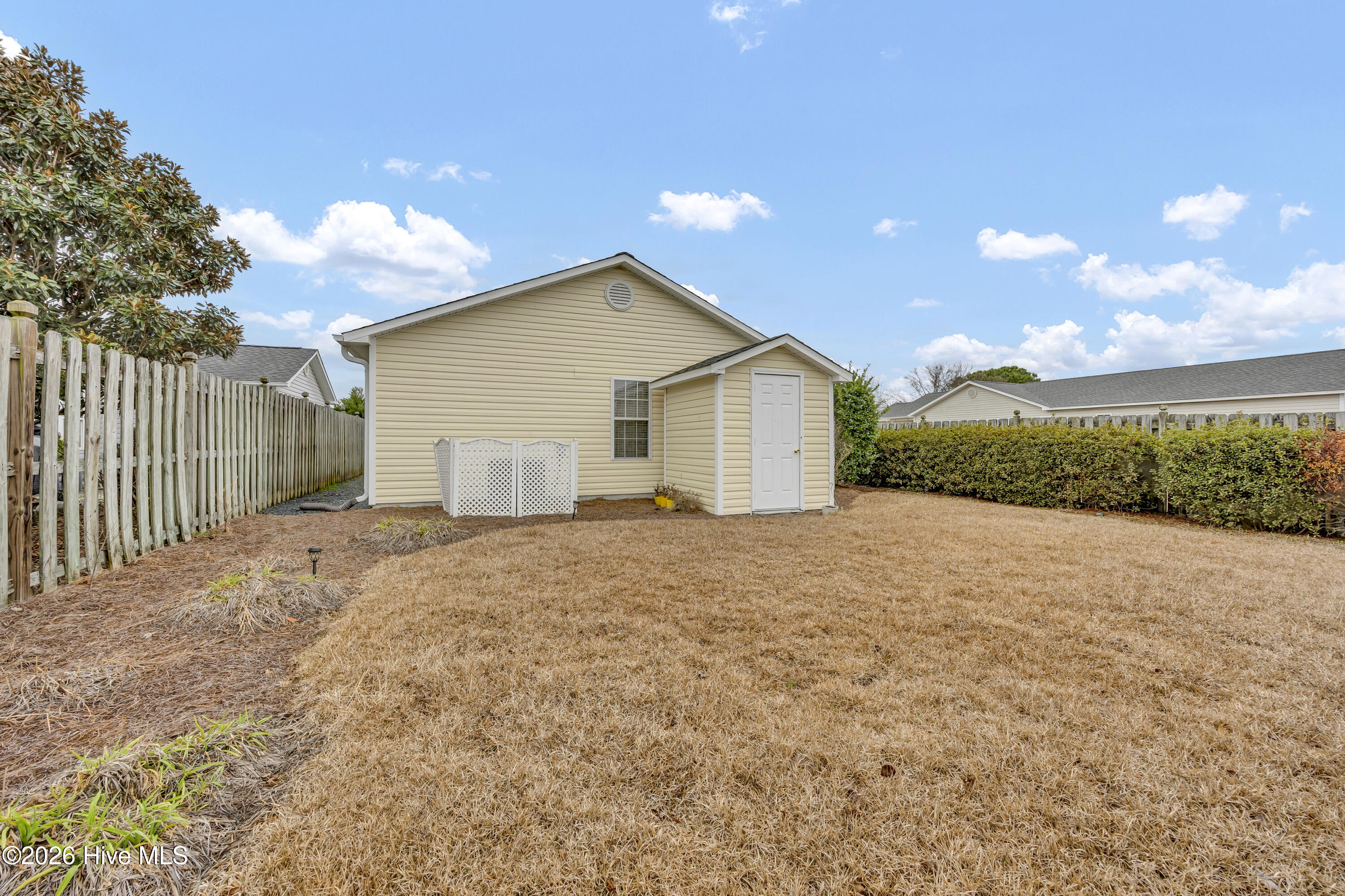 100557112 | Photo 25