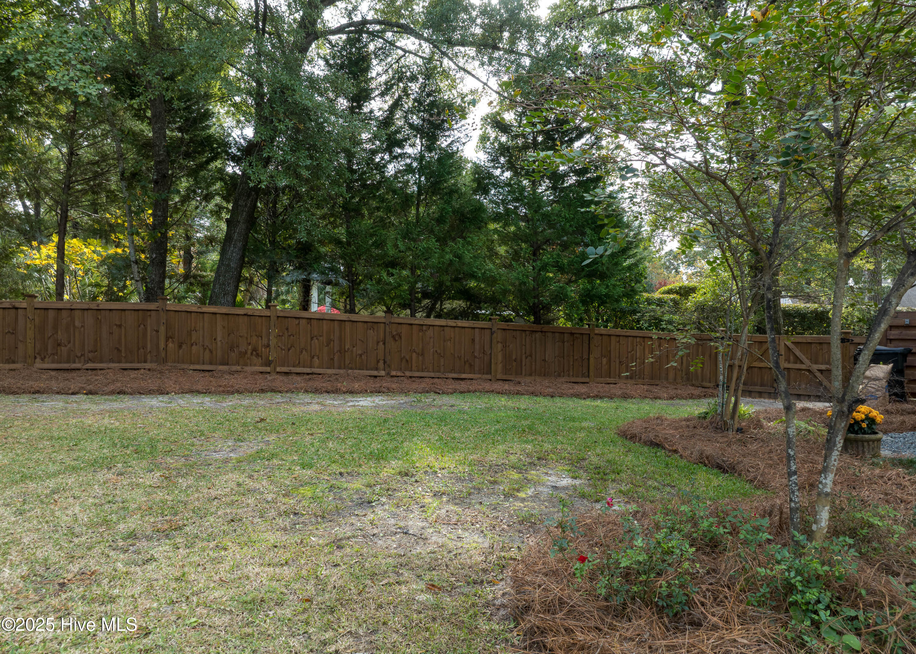 100547922 | Photo 55