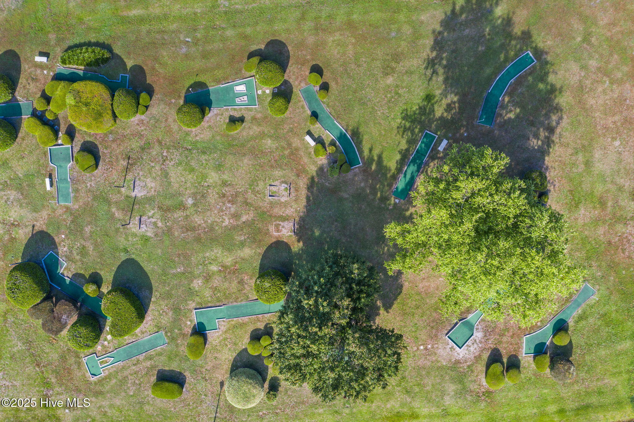 100535102 | Photo 57