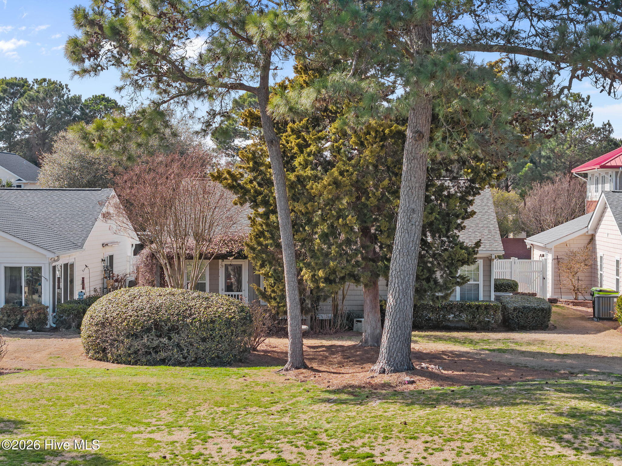 100556282 | Photo 43