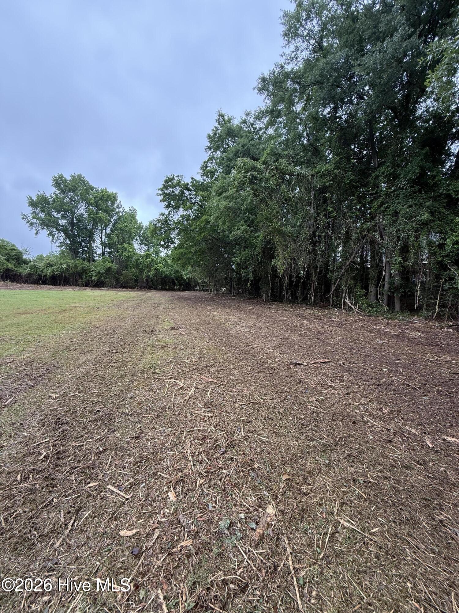 29th image of 0 Gaston Blvd, New Bern, NC 28560 | MLS# 100594676