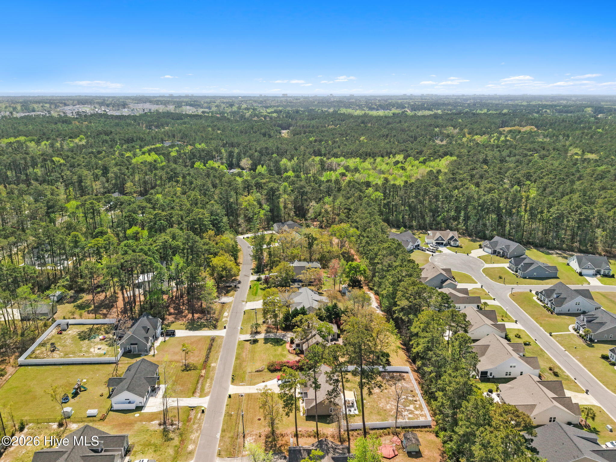 100564721 | Photo 70