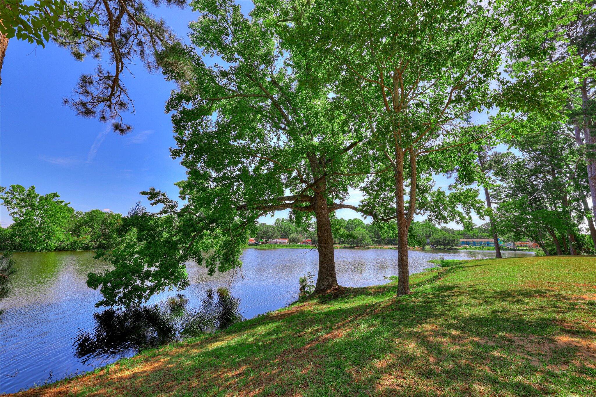 Homes for sale in Waynesboro, GA | 118 Lake Bluff Dr, Waynesboro, GA 30830 | MLS# 551784