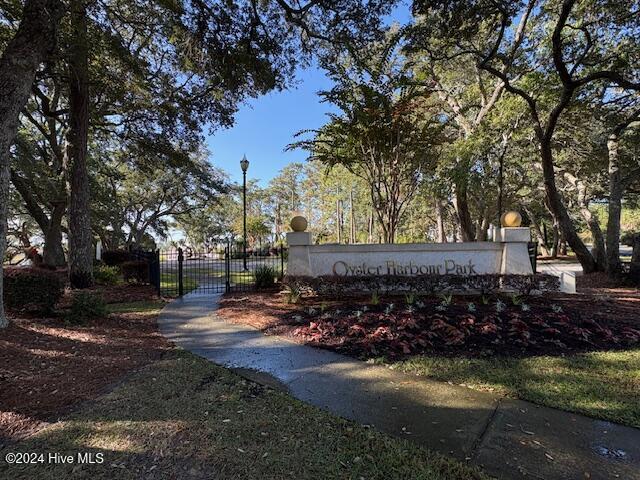 100479561 | Photo 28