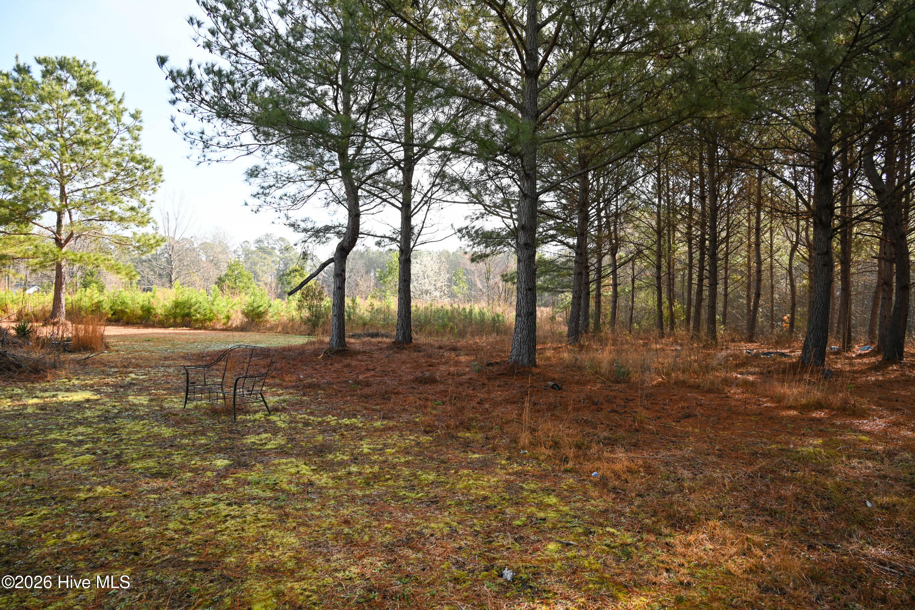 100560038 | Photo 15