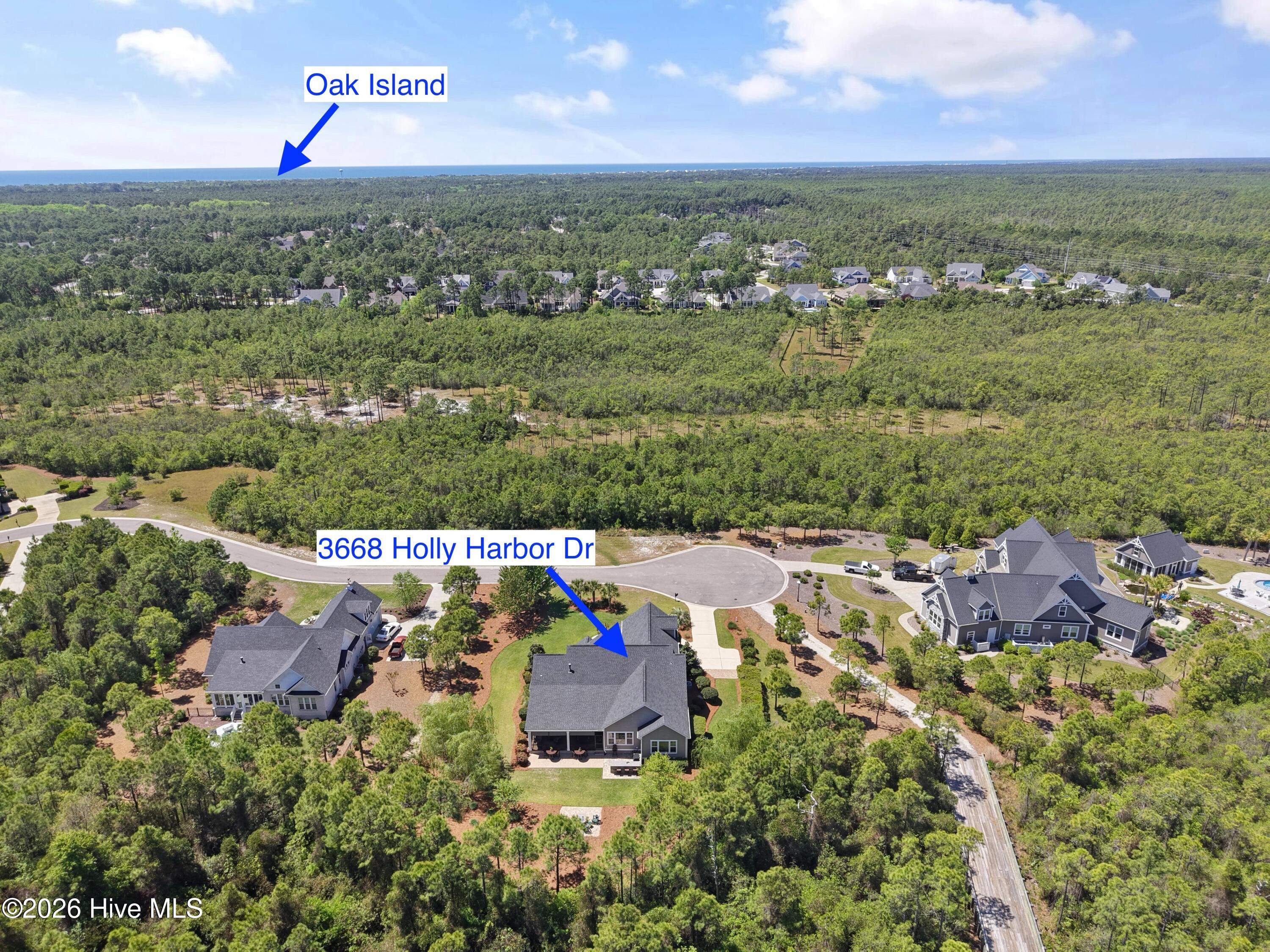 100568990 | Photo 77