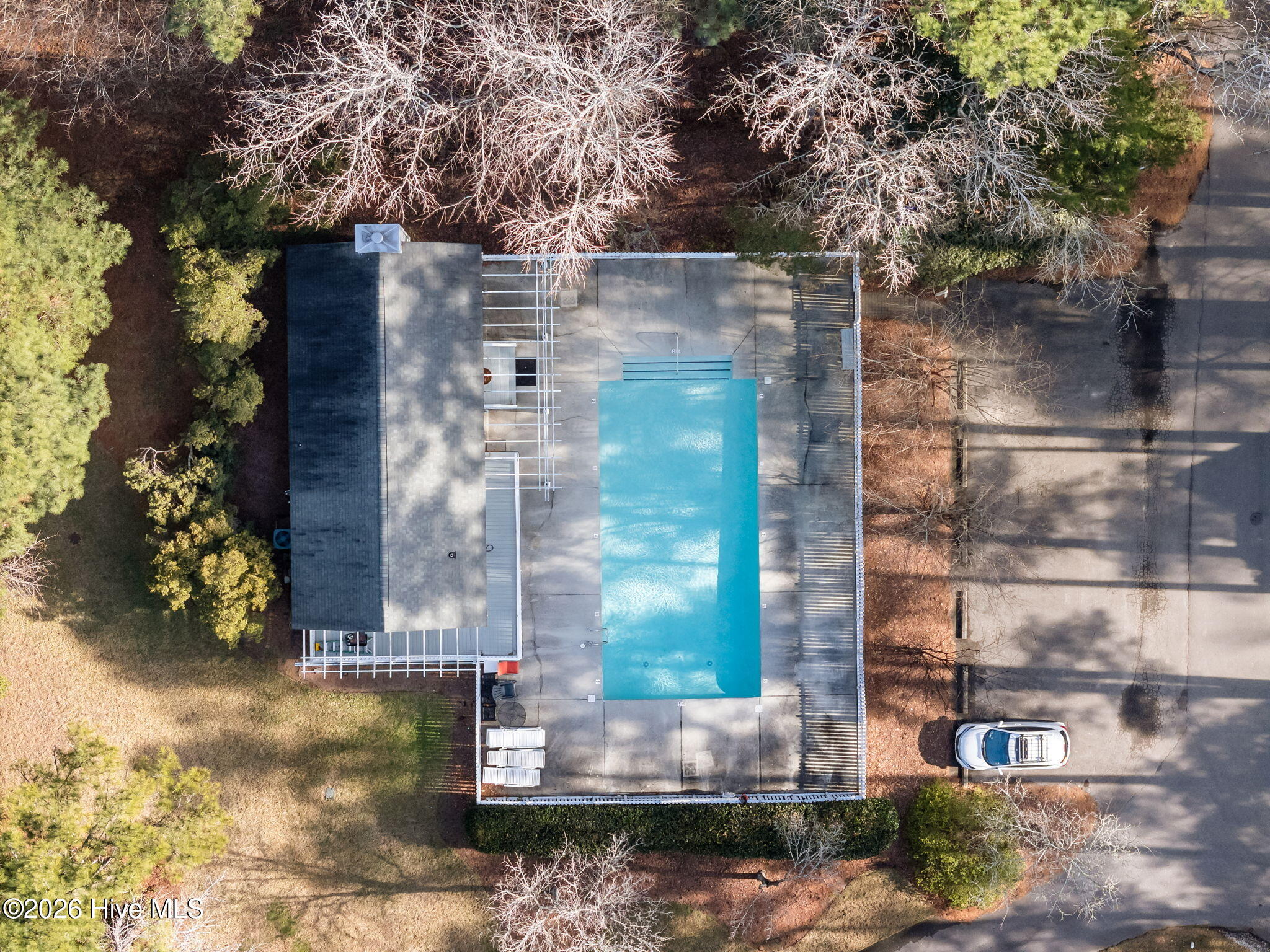 100551579 | Photo 52