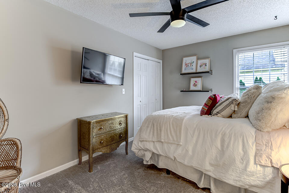 100567381 | Photo 31