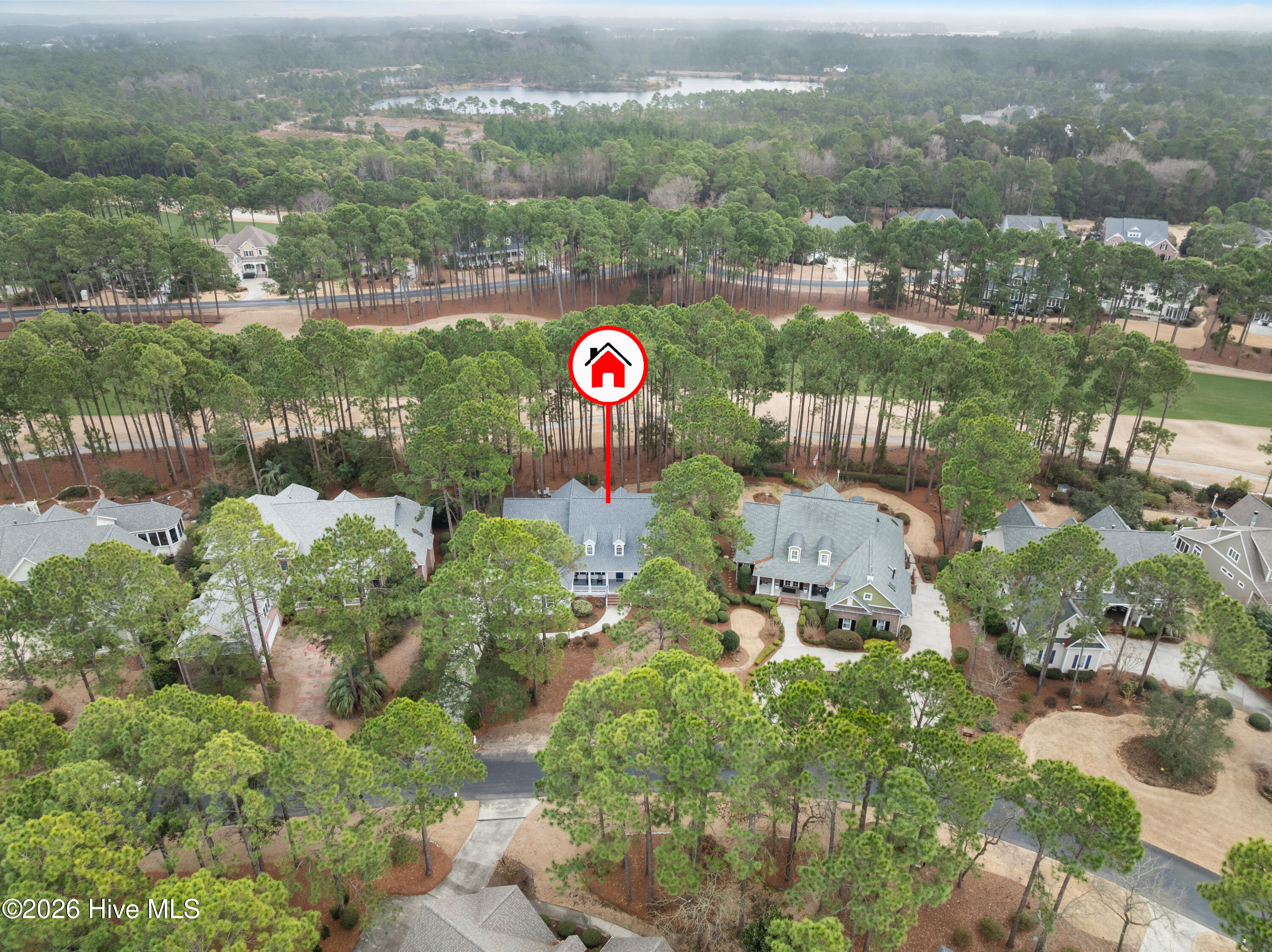 100555954 | Photo 67