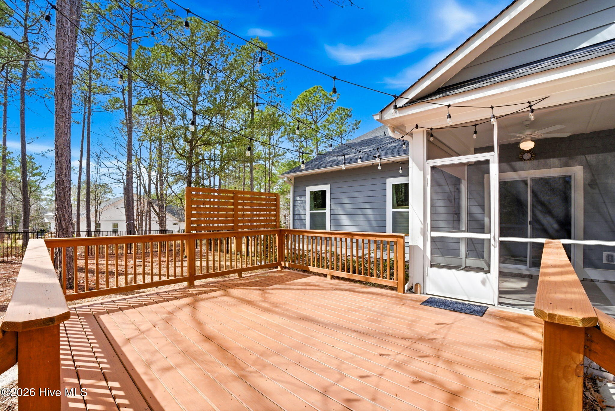 100558607 | Photo 32