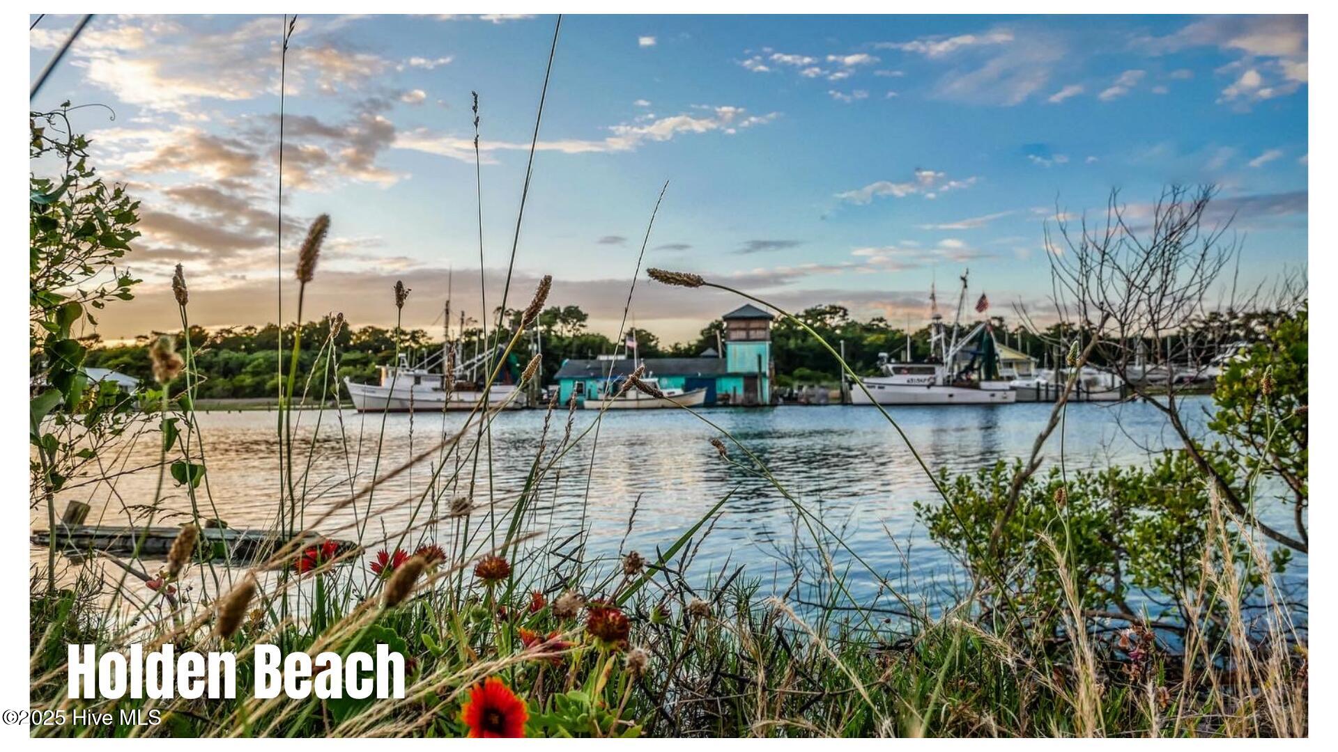 100540899 | Photo 55