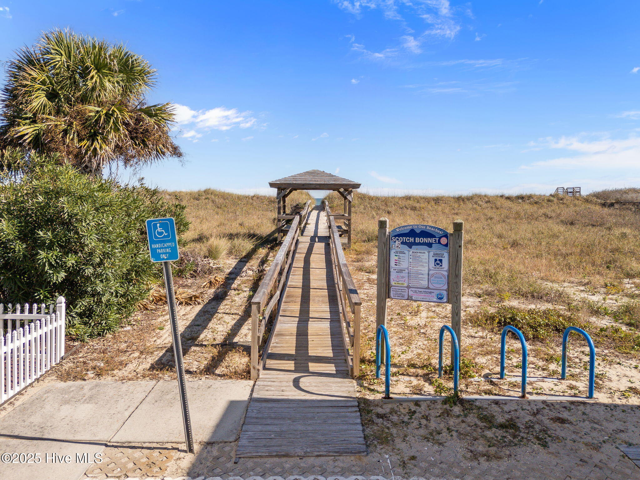 100540716 | Photo 40