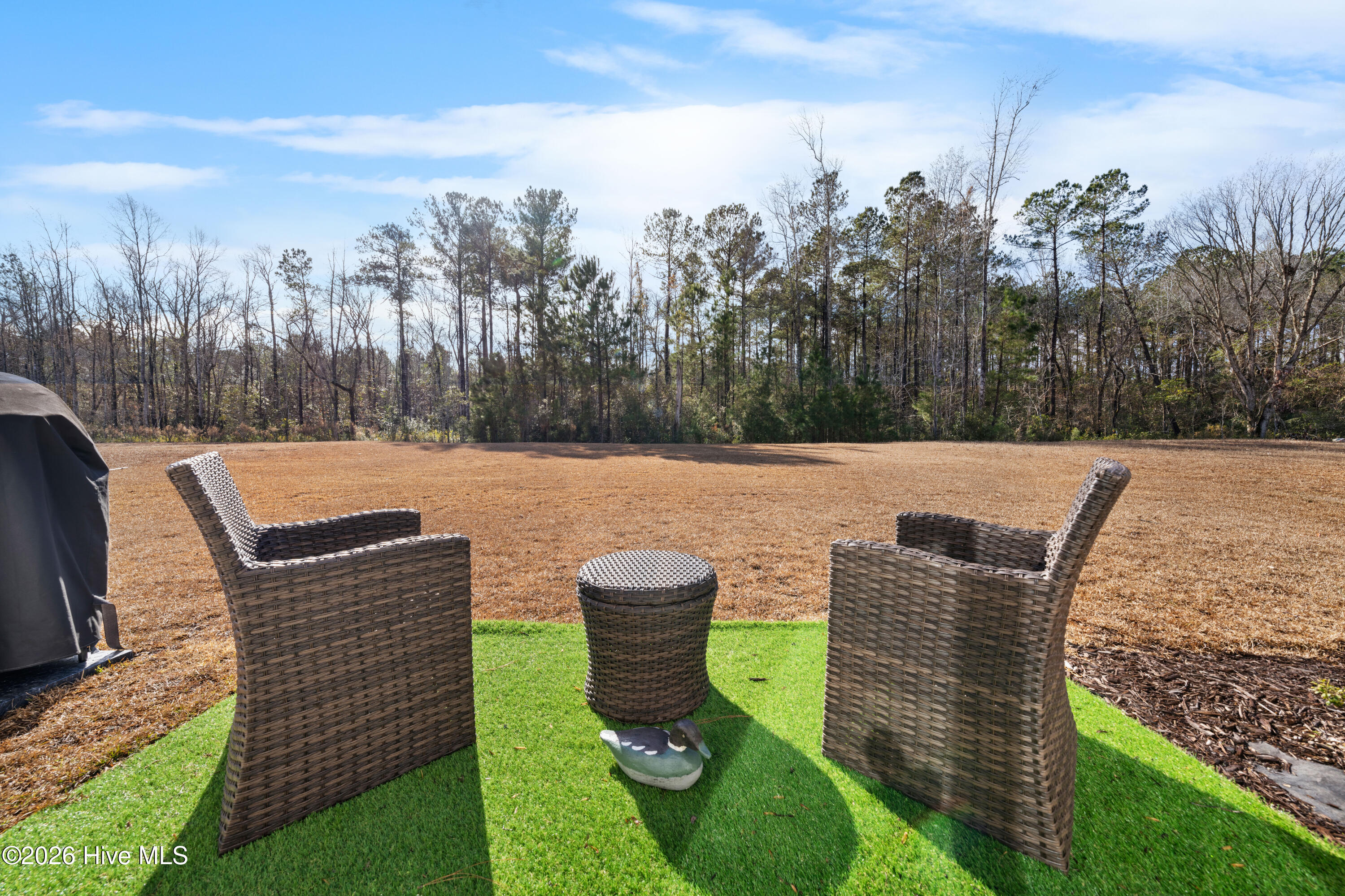 100550374 | Photo 35