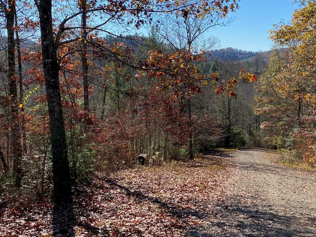 Exterior photo of Lot 24 Thimble Loop, Murphy, NC 28906. MLS: 98525048