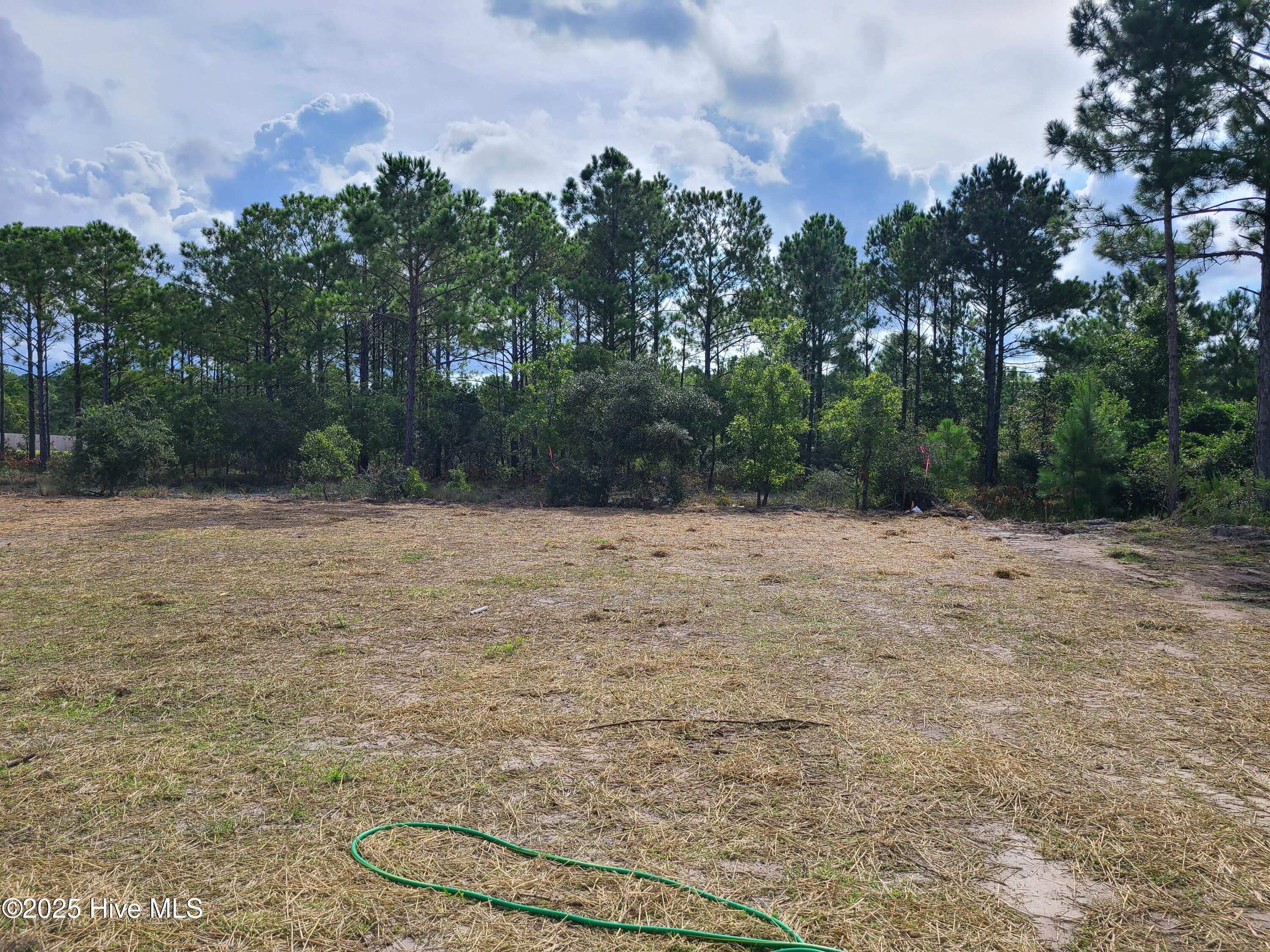 100537237 | Photo 19