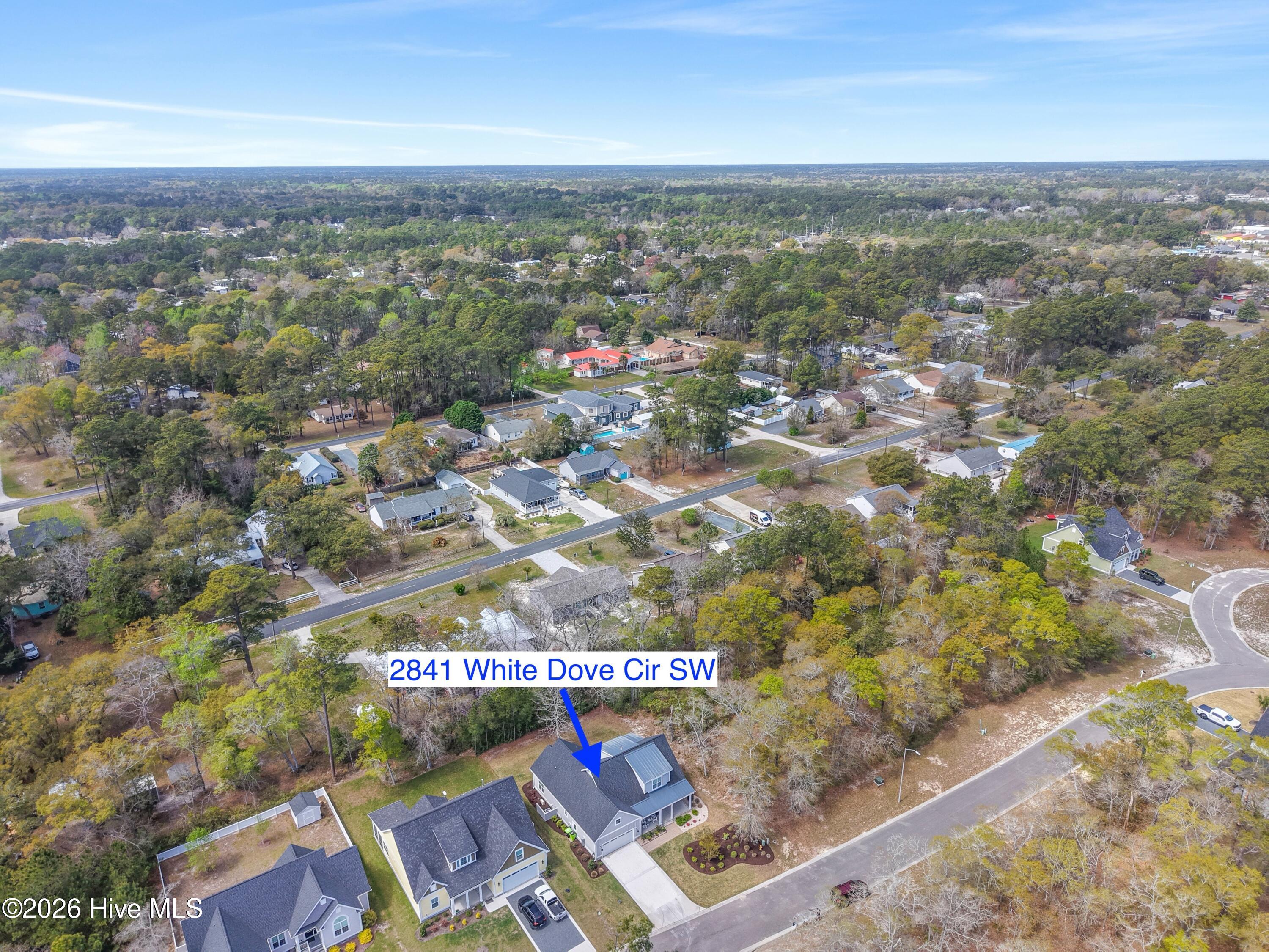 100565017 | Photo 69