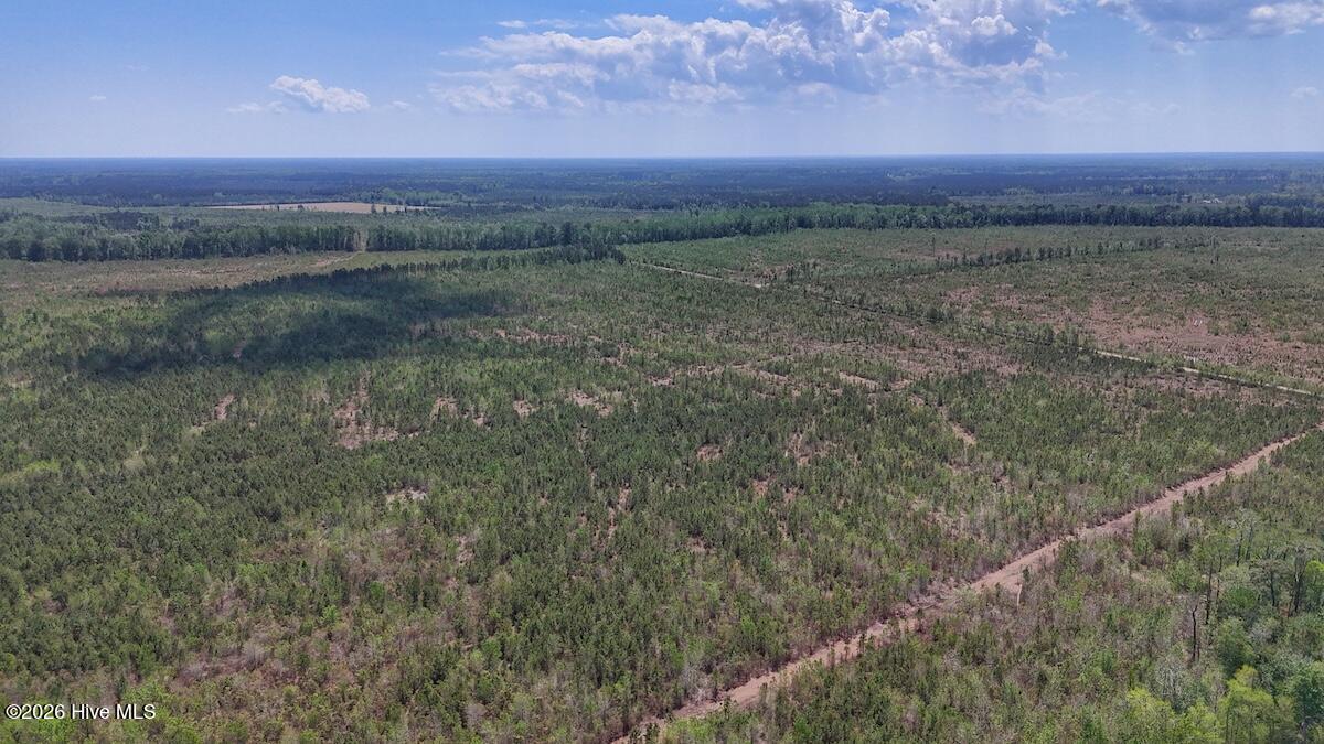 0 Guinea Mill Road, Ernul, NC, 28527