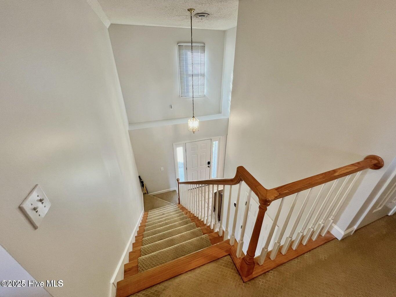 100545909 | Photo 27