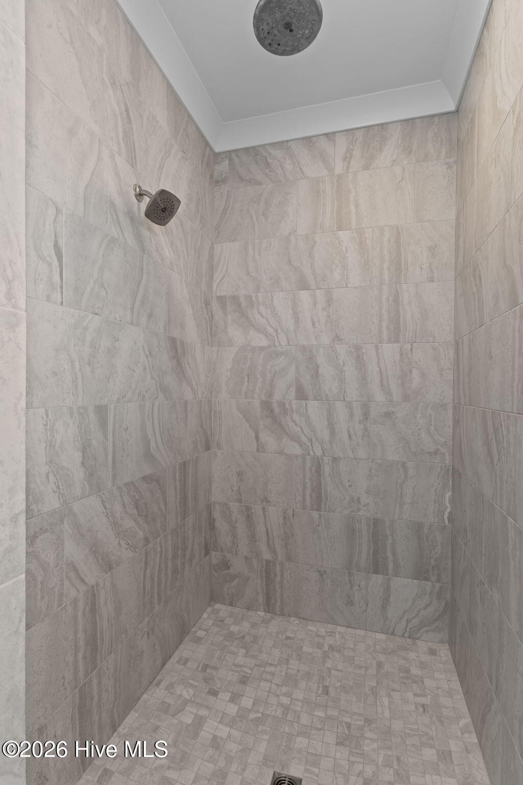 100547503 | Photo 37