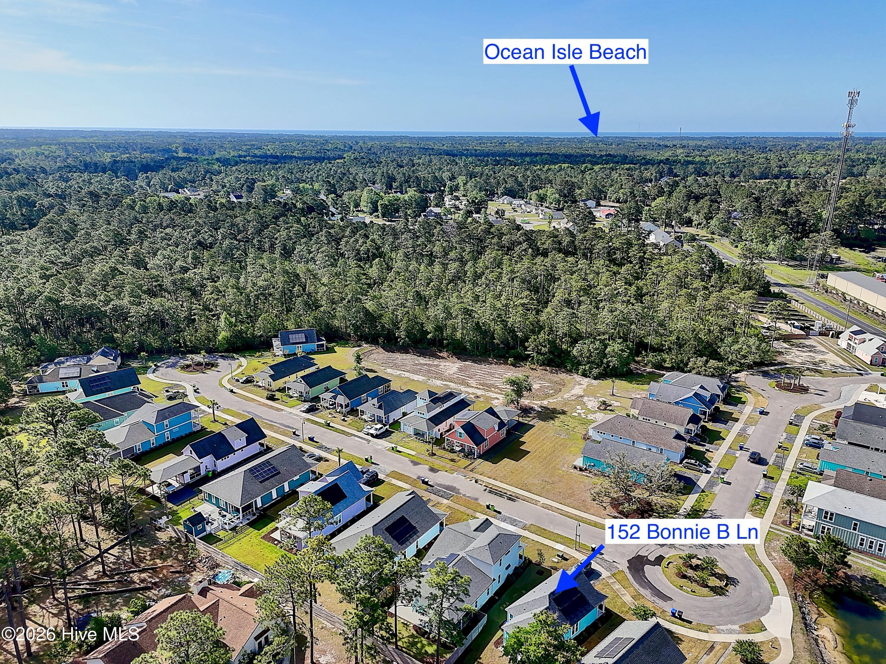 100556000 | Photo 36