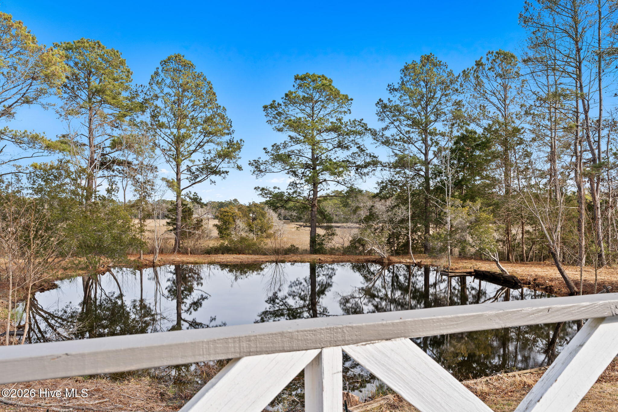 100551725 | Photo 55