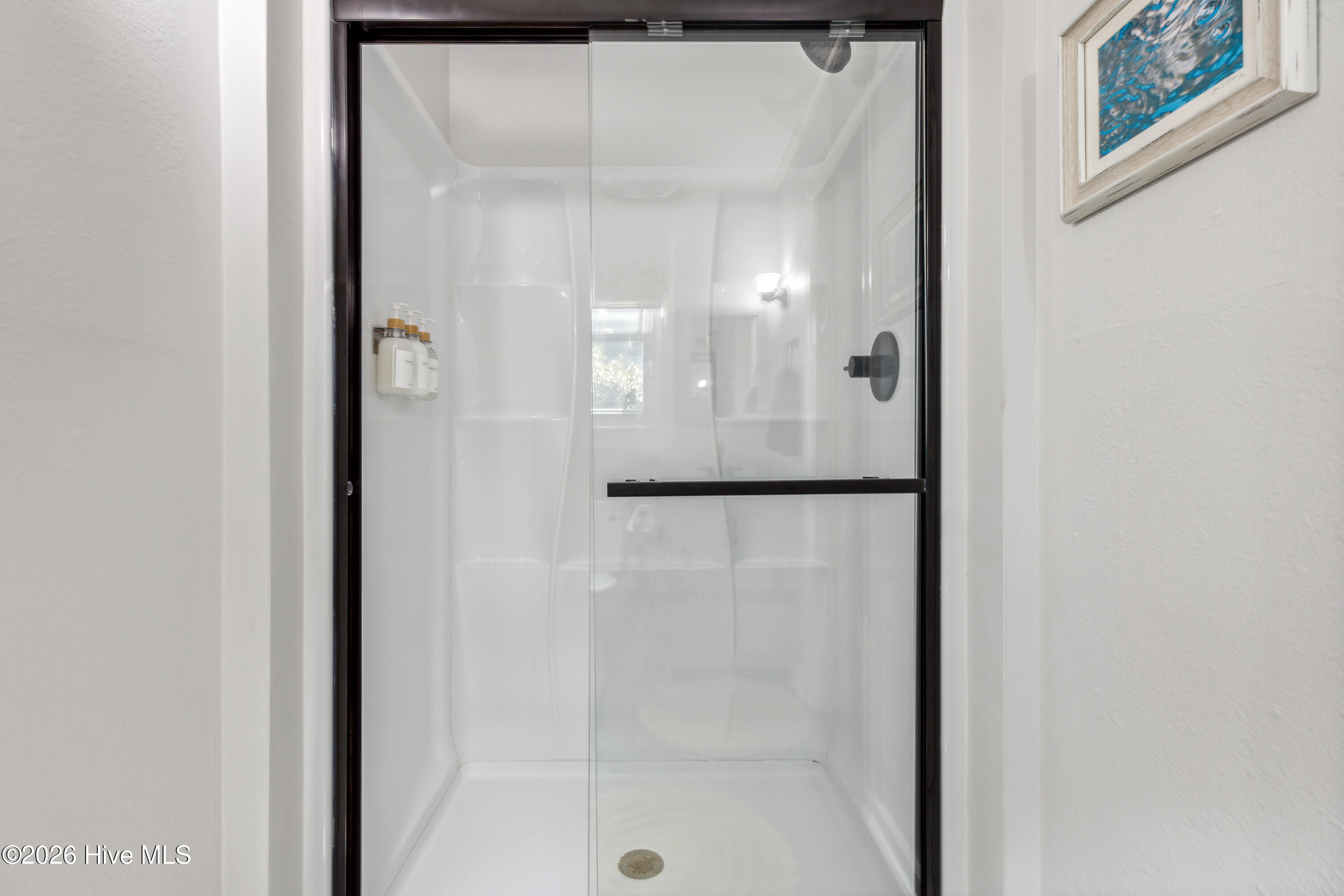 100569125 | Photo 45