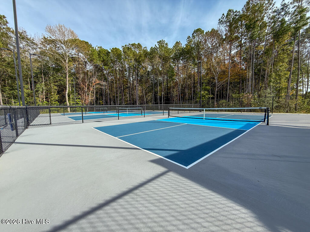 100569587 | Photo 45