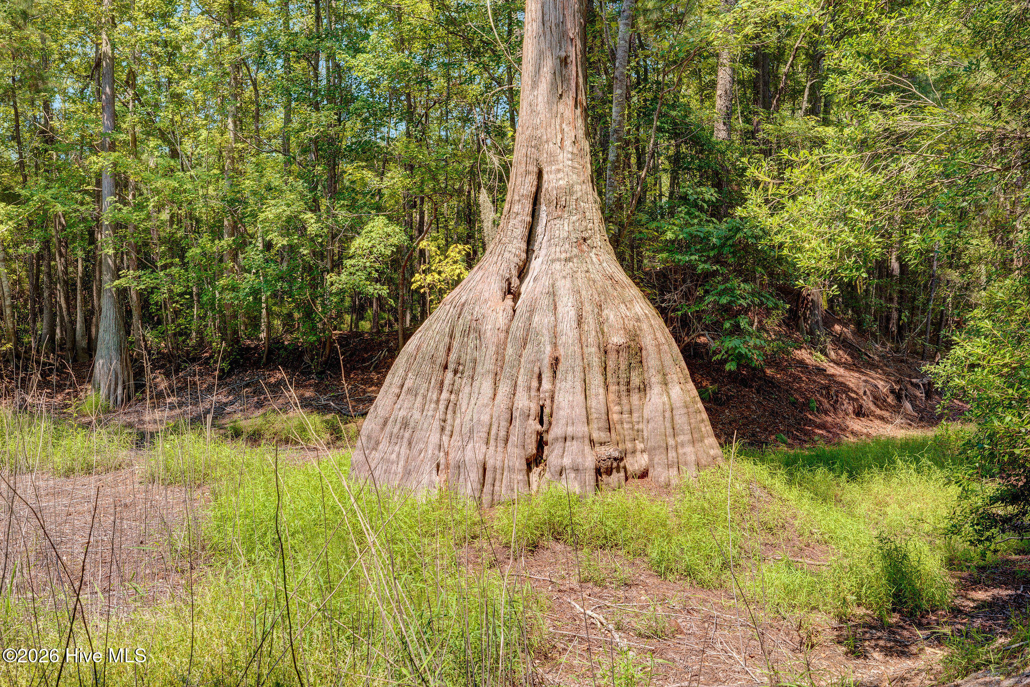 100558109 | Photo 68