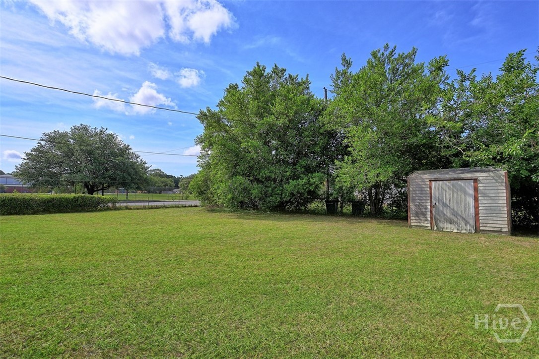 Large Corner Lot Back Yard