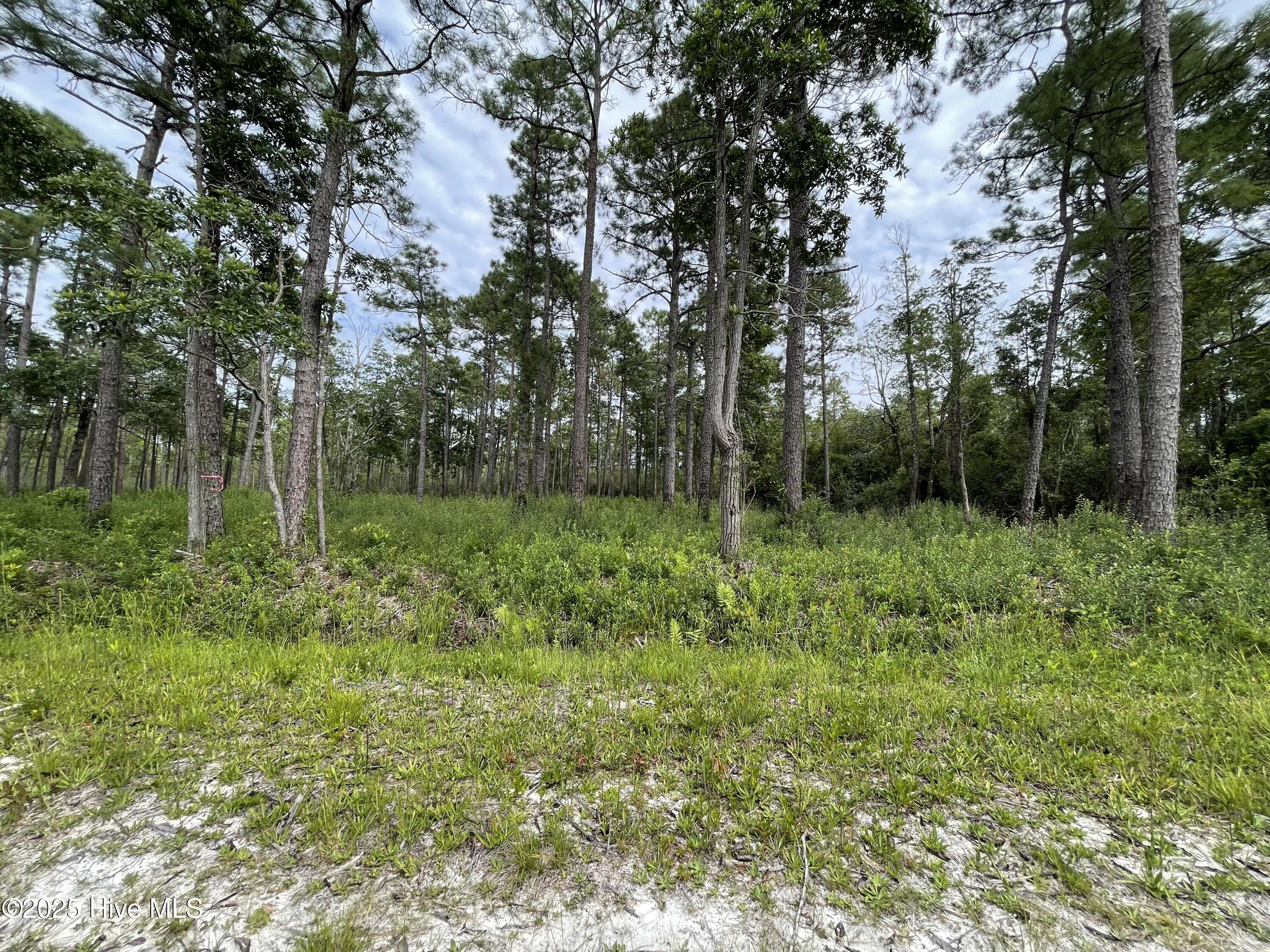 100527891 | Photo 23