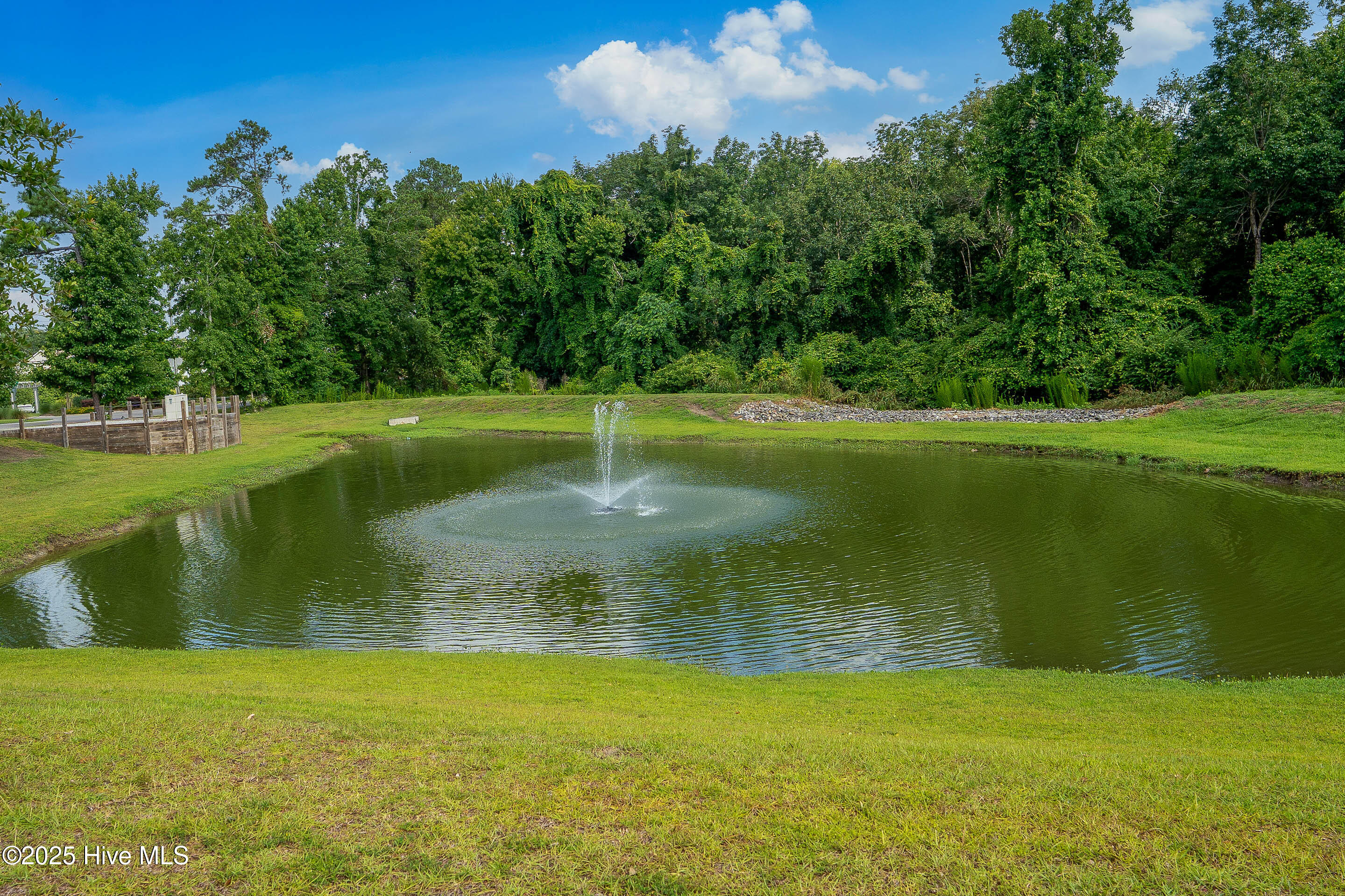 100520061 | Photo 39