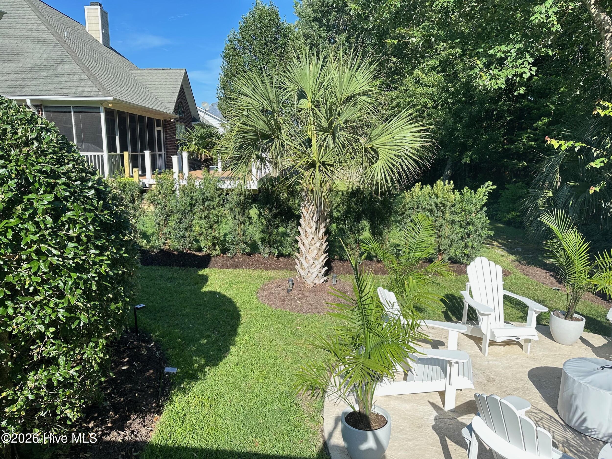 100555561 | Photo 56