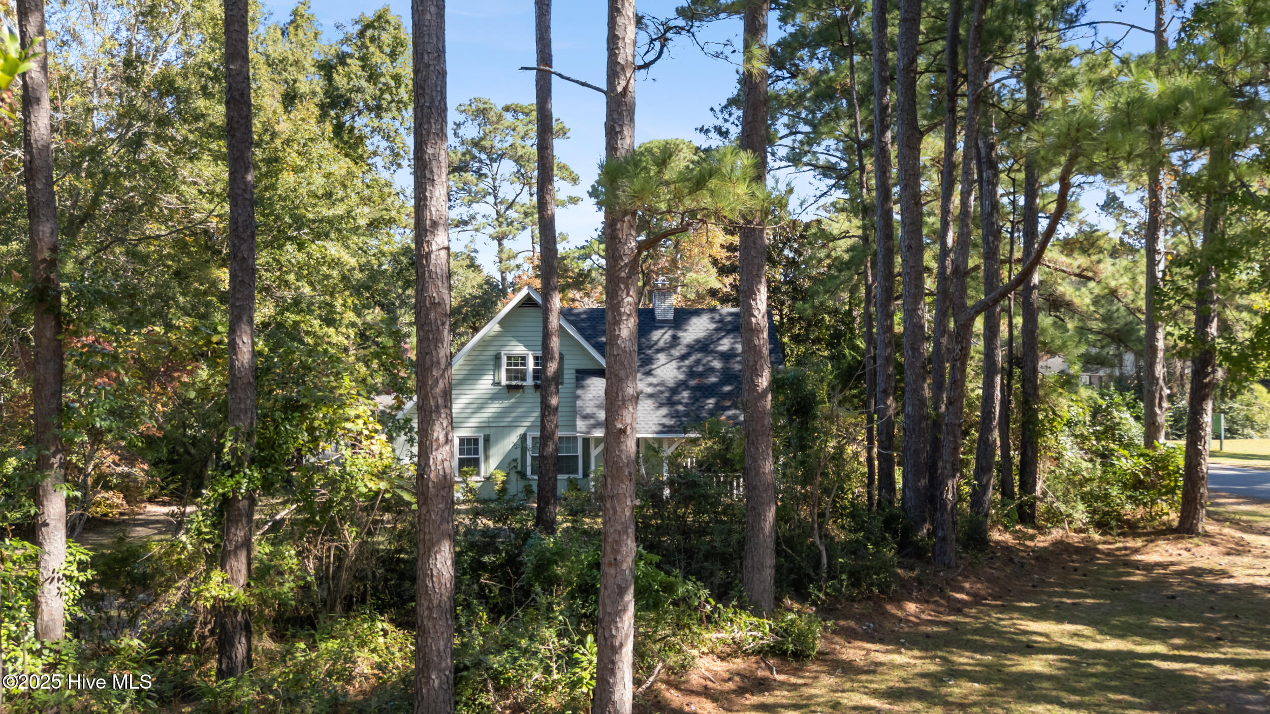 100537858 | Photo 29