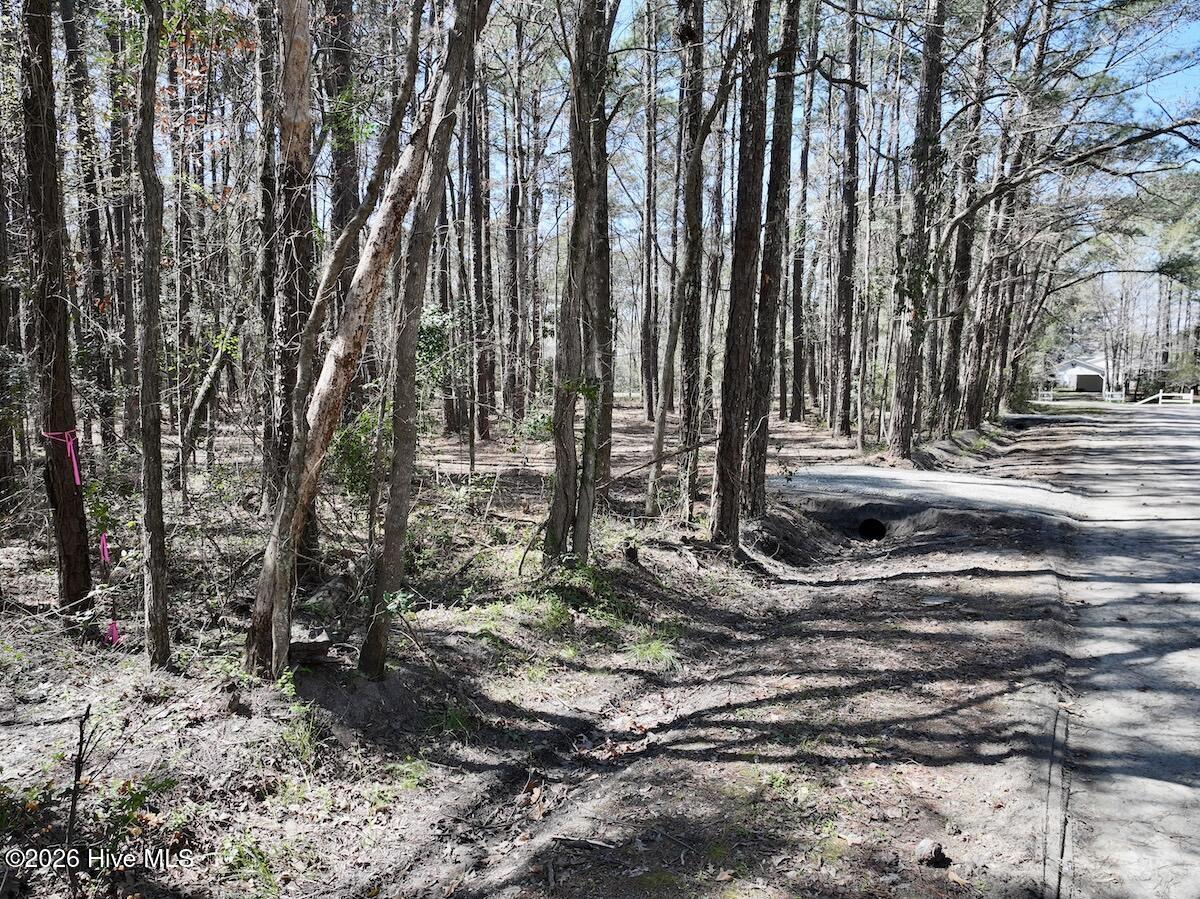 0 Lot 1 Creek Place Road,Arapahoe