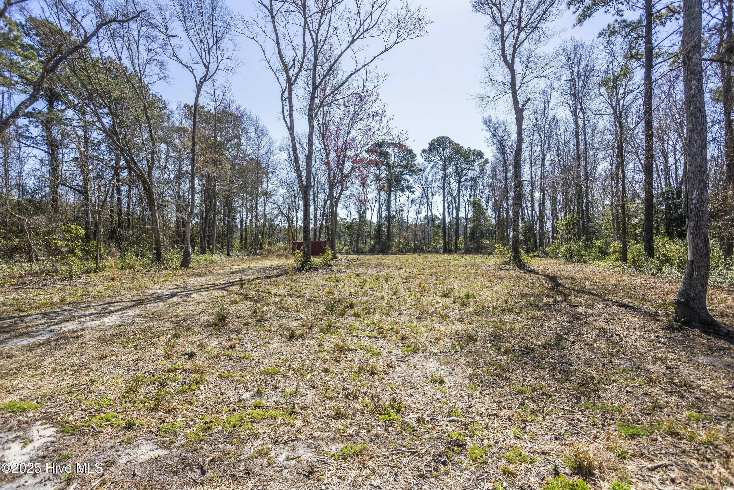 100495483 | Photo 21