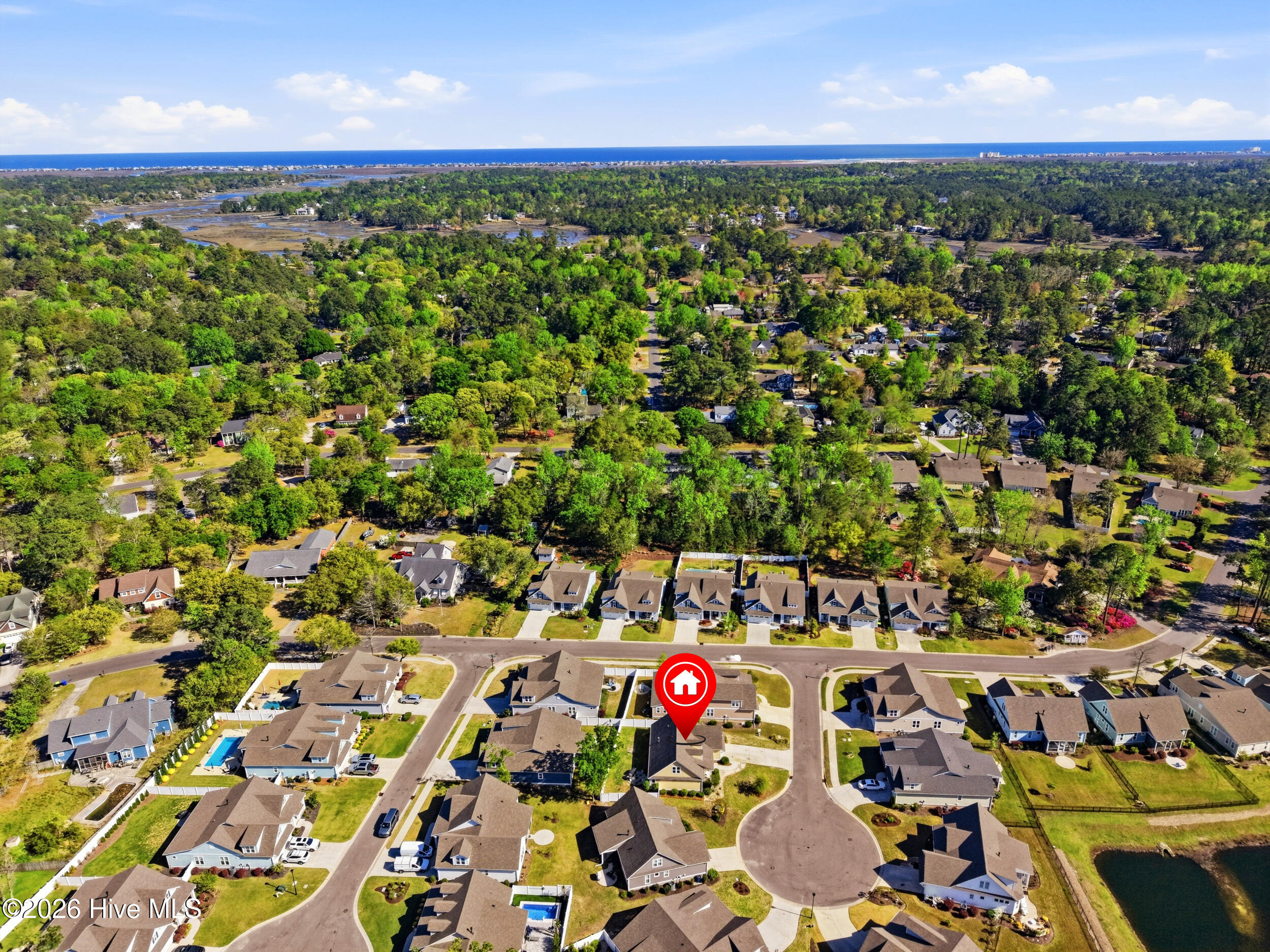 100564894 | Photo 37