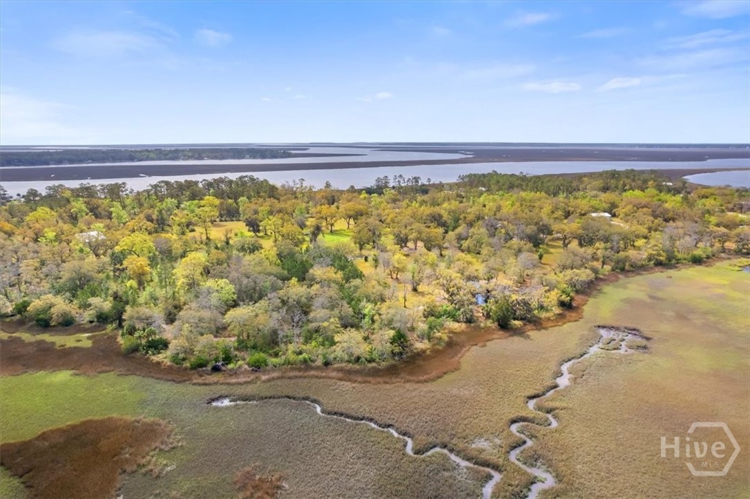 LOT 4 Bermuda Bluff Lane, Midway, GA, 31320