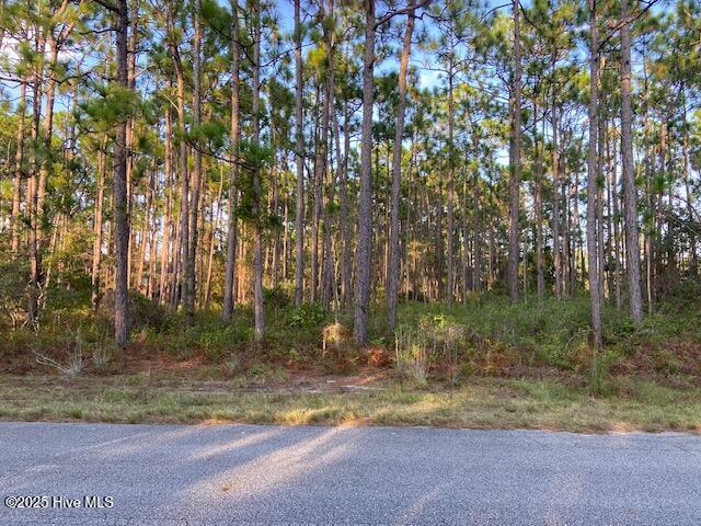 Homes for sale in Boiling Spring Lakes, NC | 23 Lexington Rd, Boiling Spring Lakes, NC 28461 | MLS# 100531207