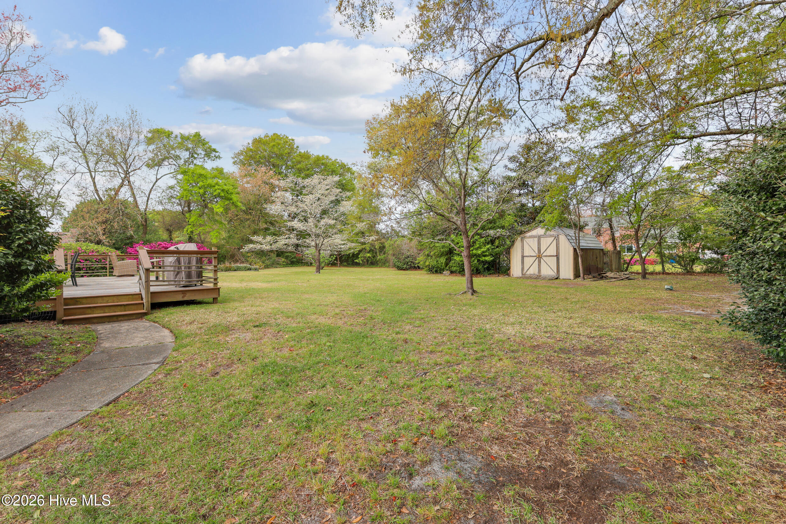 100564649 | Photo 19