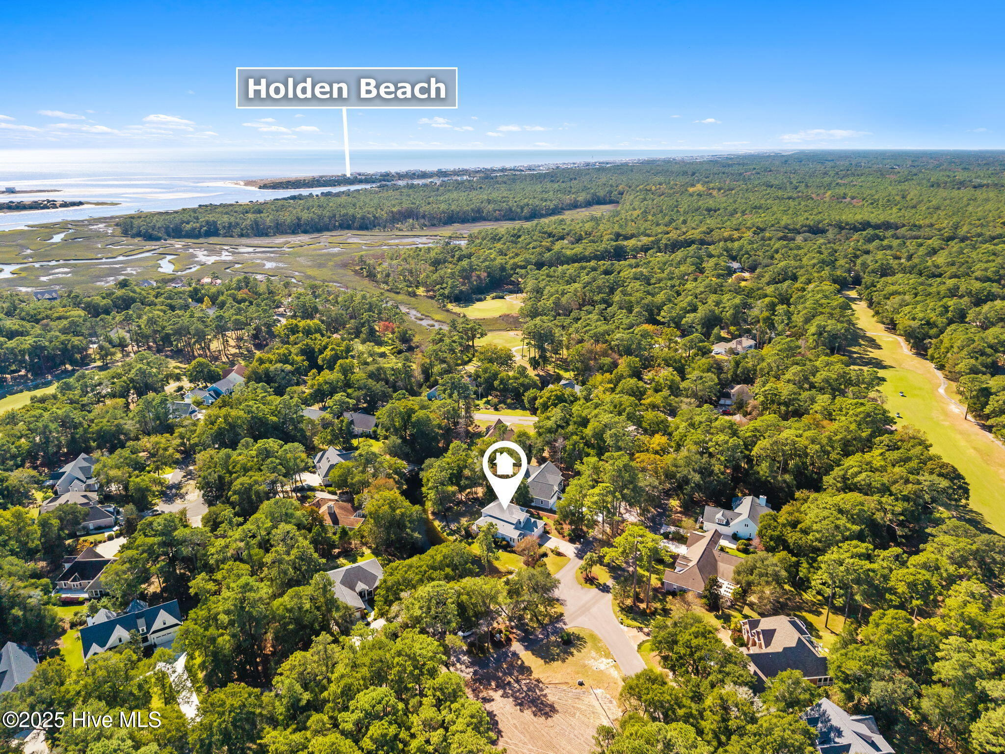 100537506 | Photo 61