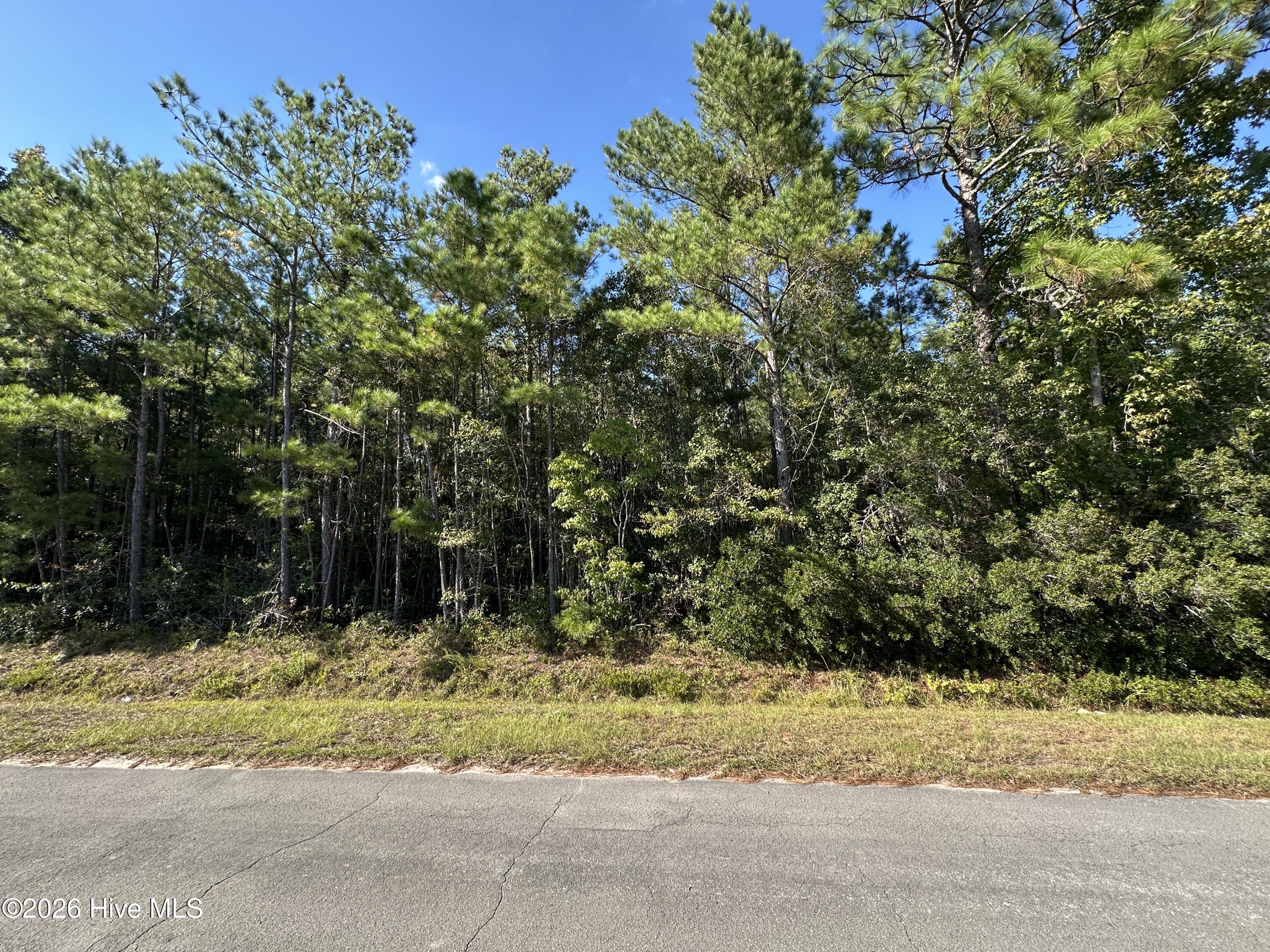 000 Willis Farm Tract-2 Road,Newport