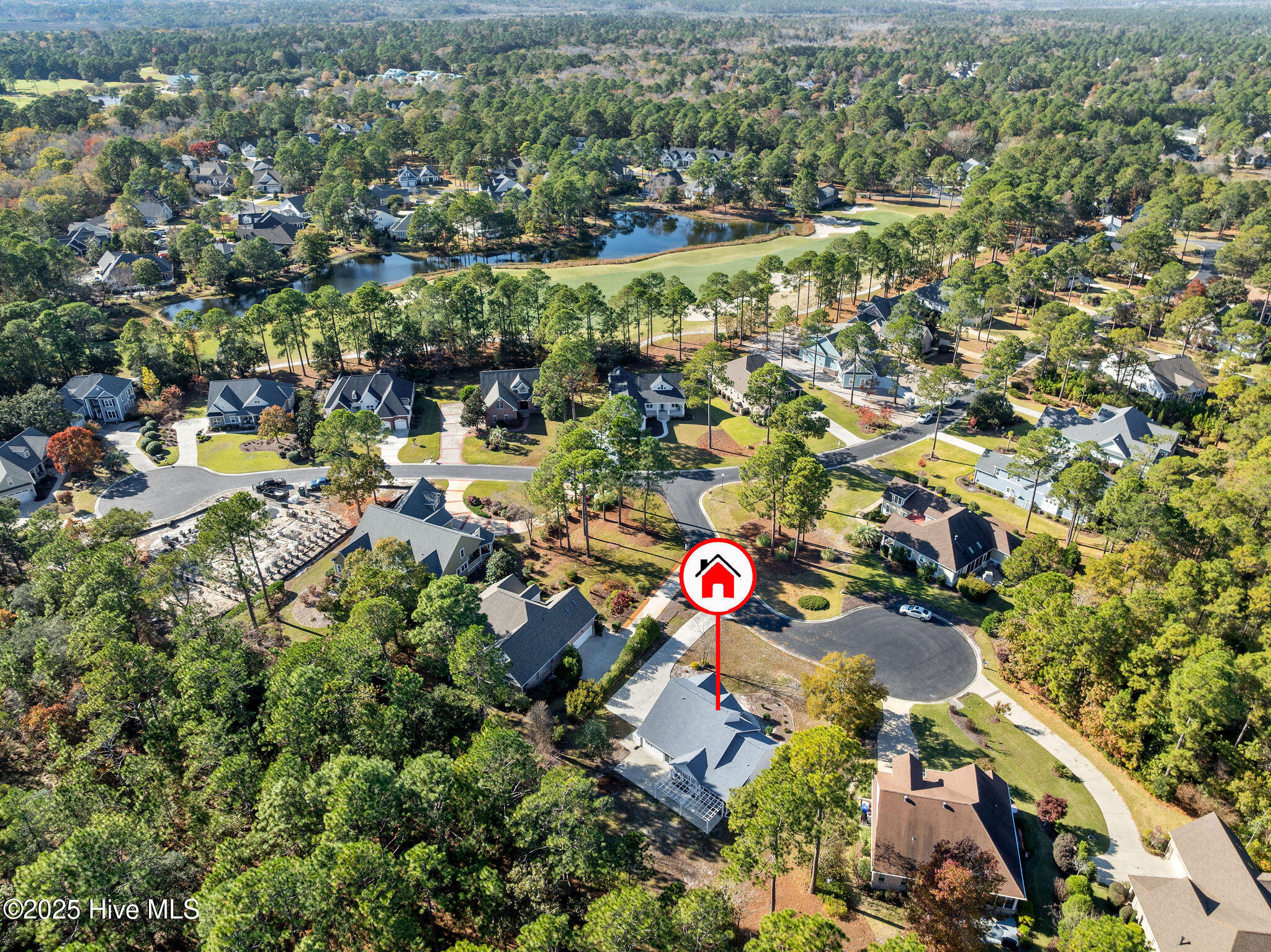 100541401 | Photo 50