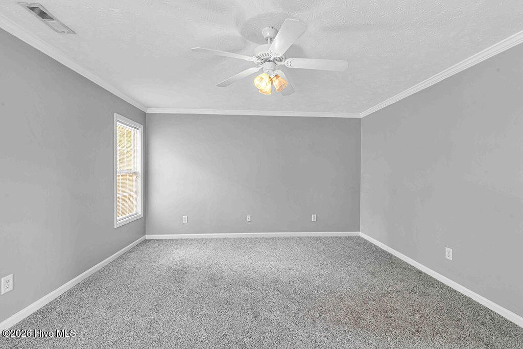 100557733 | Photo 34