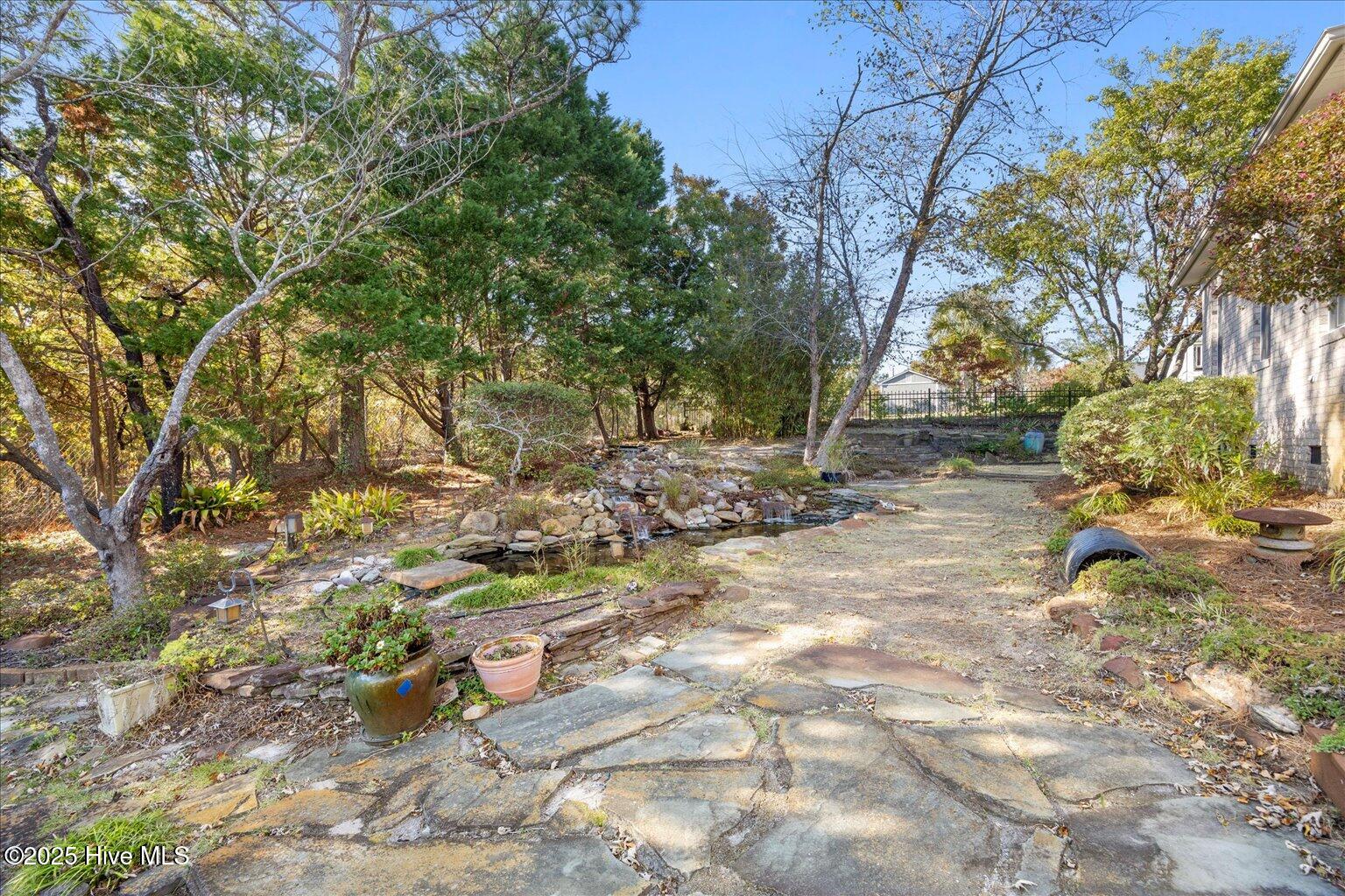 100539645 | Photo 55