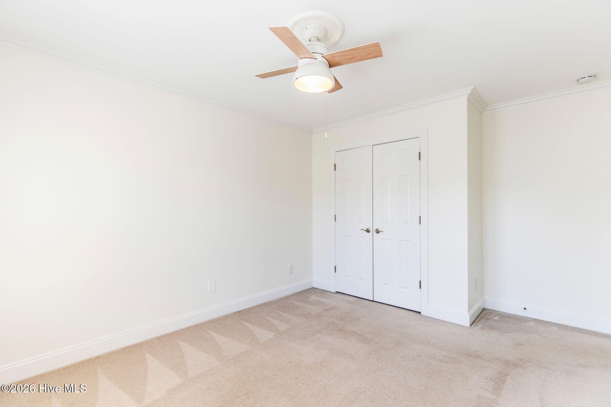 100560146 | Photo 43