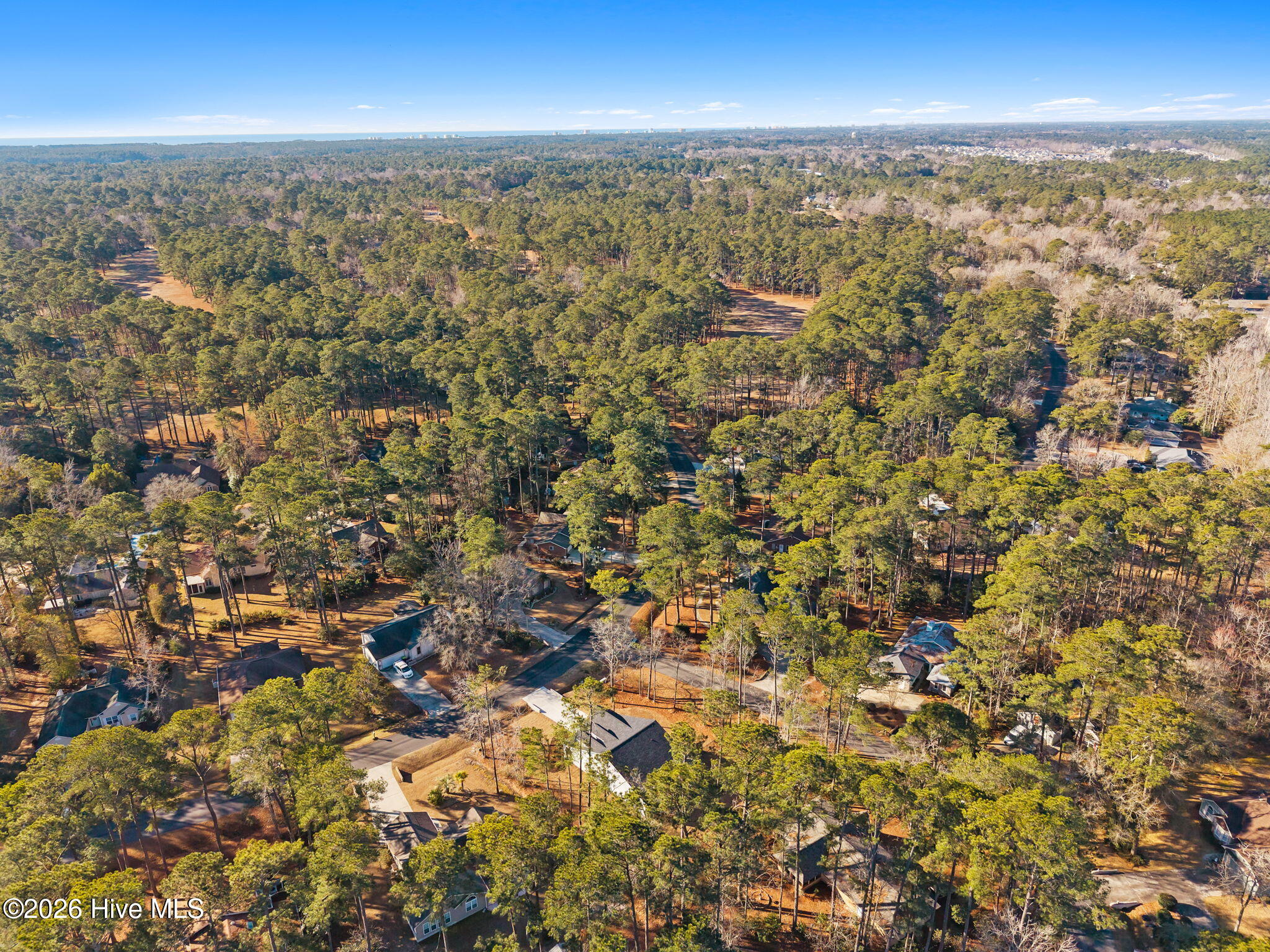 100528198 | Photo 47